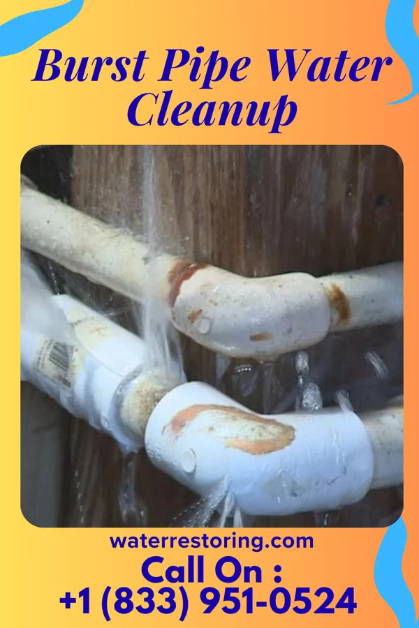 Burst Pipe Water Cleanup in Stockertown, PA