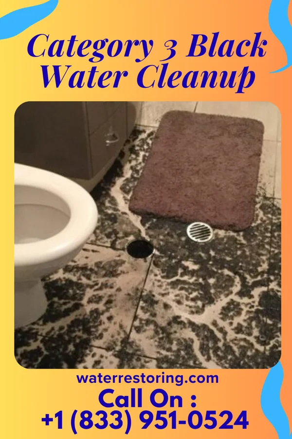 Category 3 Black Water Cleanup in Stockertown, PA