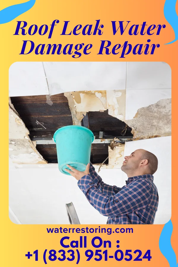 Roof Leak Water Damage Repair in Stockertown, PA