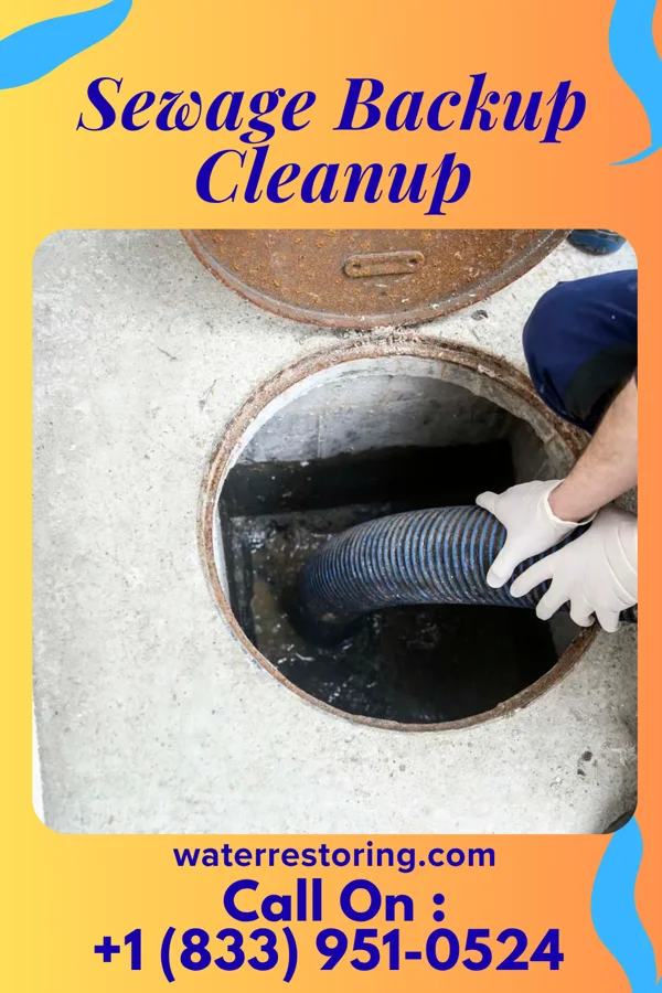Sewage Backup Cleanup in Stockertown, PA