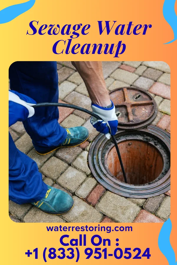 Sewage Water Cleanup in Stockertown, PA